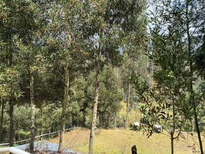 Quaint cabin with WiFi in charming Cuenca