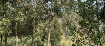 Quaint cabin with WiFi in charming Cuenca