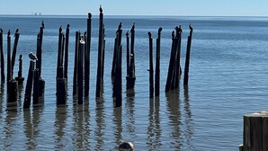 Miscellaneous - Mermaid Shores | Walk to Dock Street (Cedar Key)