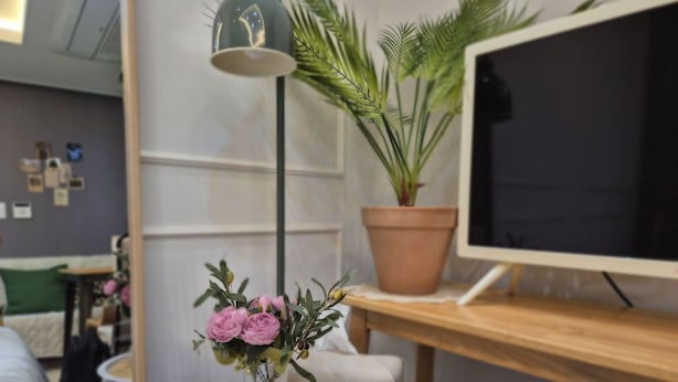 Ein modernes Zimmer mit einem Bett, einem kleinen runden Tisch mit Blumenvase, einem Blumentopf und einem Flachbildfernseher auf einem Holzboden.