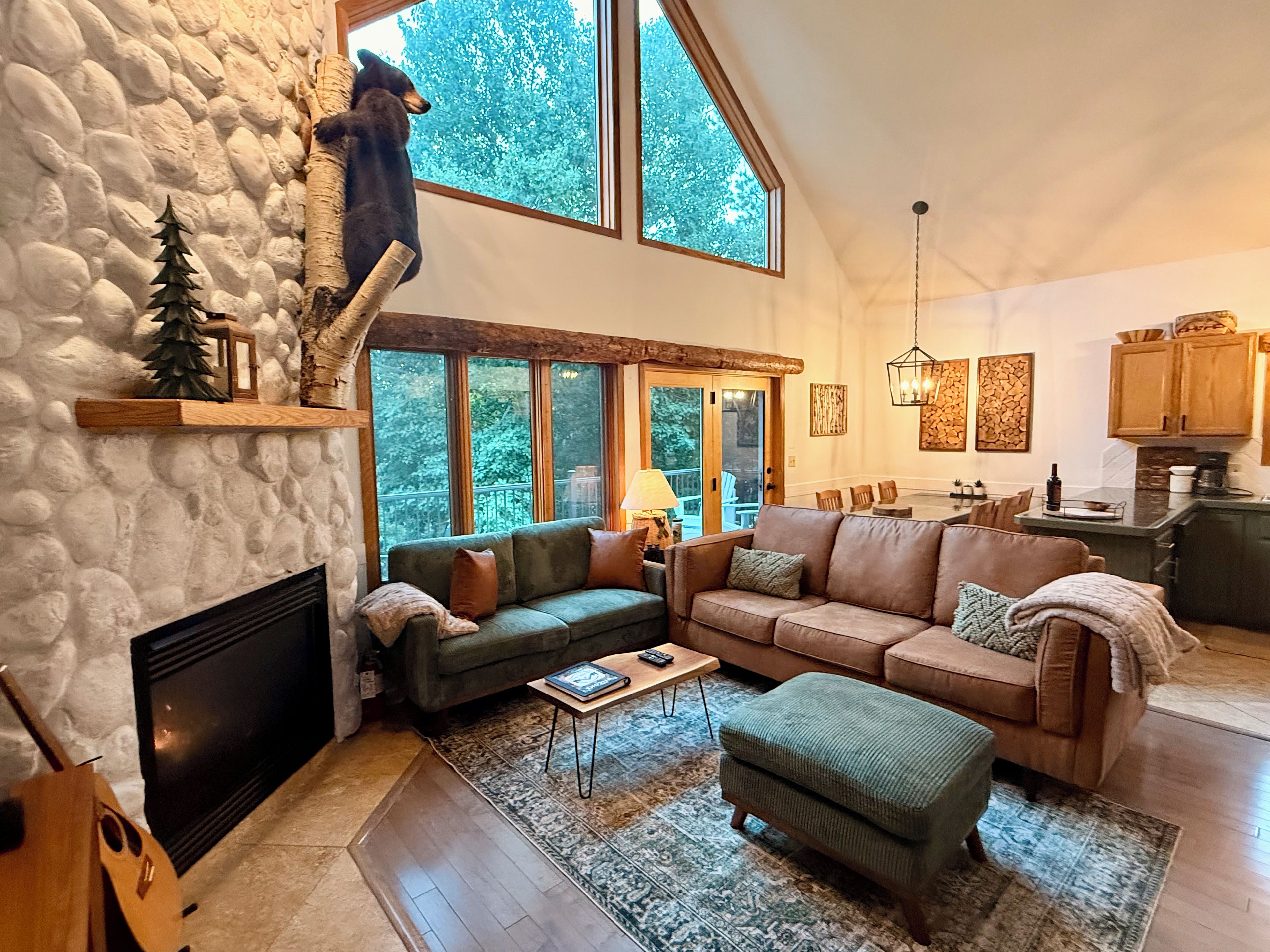 Smart TV, fireplace, books, stereo