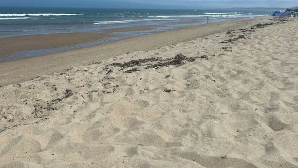 Ein sandiger Strand mit blauem Himmel und Wellen.