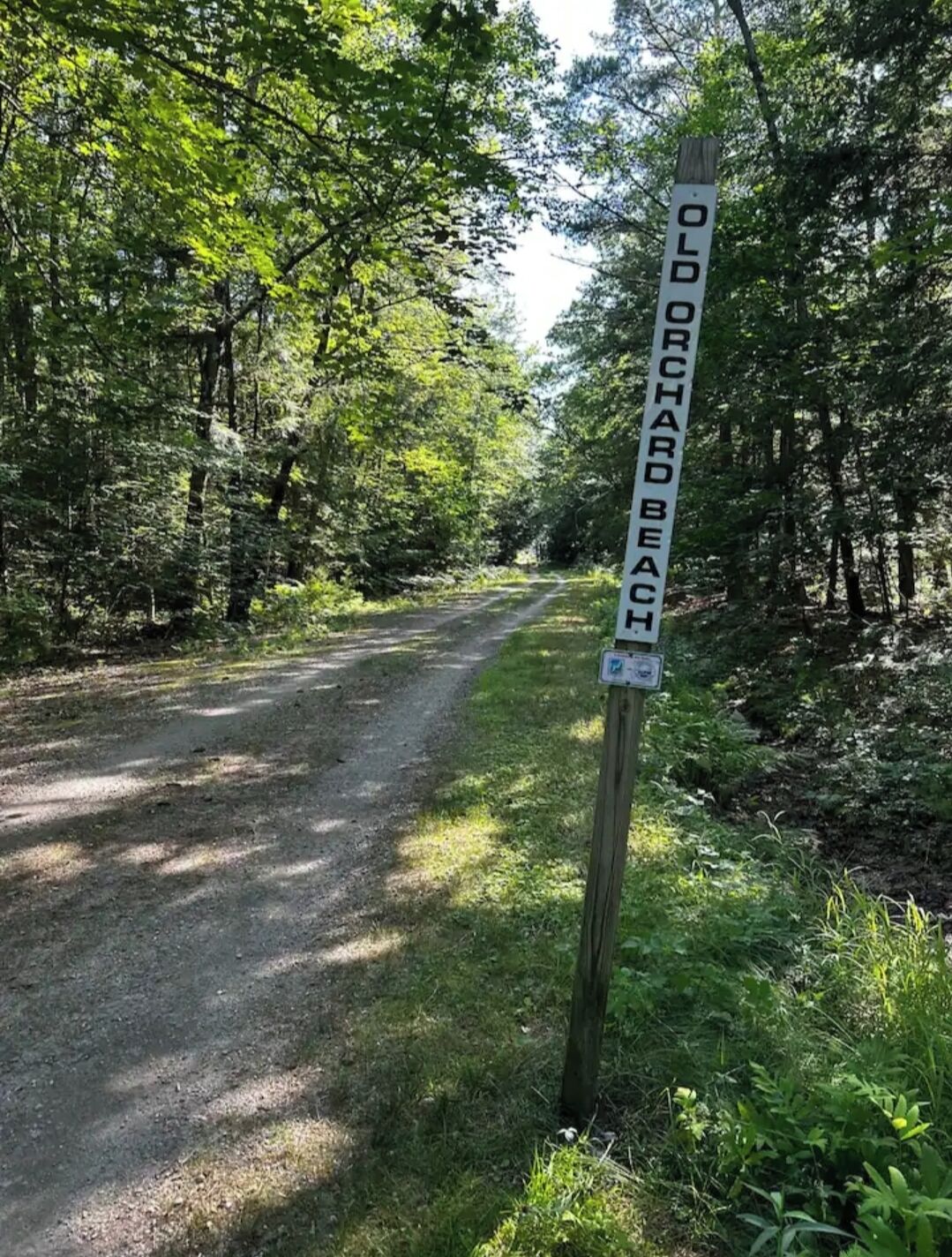 A signpost marking 'Old Orchard Beach' in a wooded area with a gravel path.