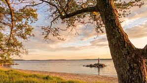 A coastal scene with a tree, grassy area, and a lighthouse on a rock. - Lake View Loft Studio type (Severn)