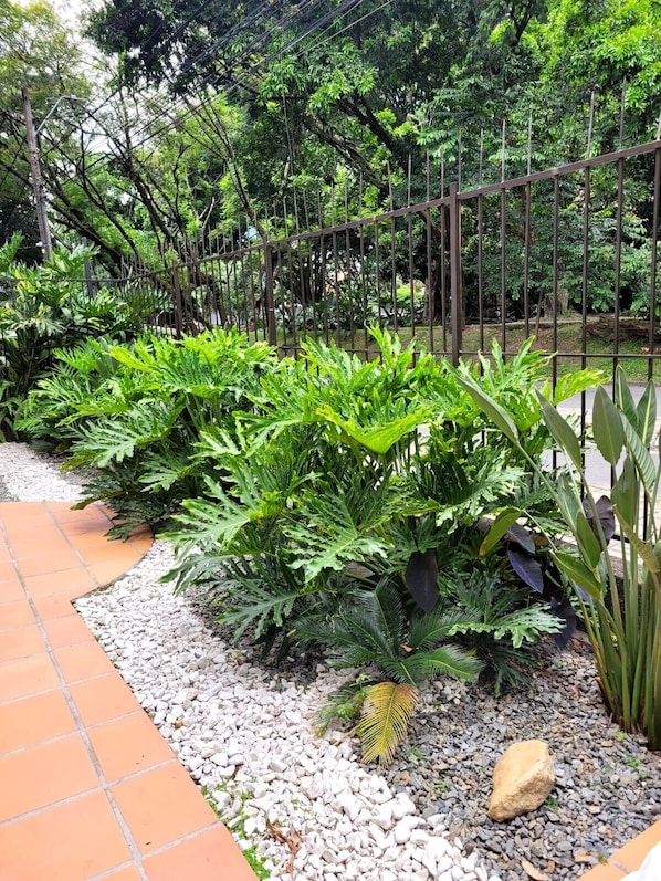 Un chemin de jardin bordé de différentes plantes vertes et délimité par une clôture en métal.