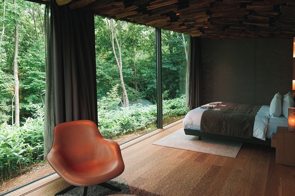 Junior Suite ,Forest,Double,Non Smoking | Laptop workspace, free WiFi, bed sheets