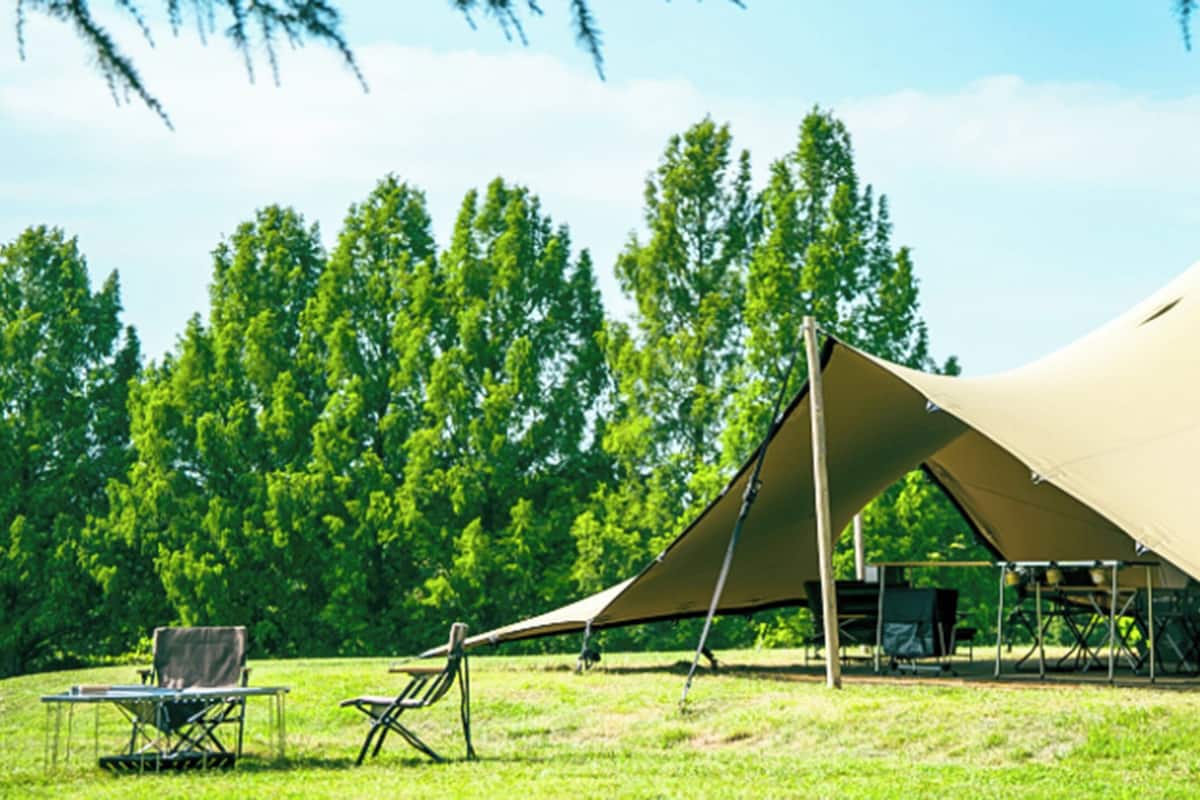 Dobbeltrom – deluxe, ikke-røyk (Field Villa,Large double tent) | Skrivebord for bærbar PC, wi-fi (inkludert) og sengetøy