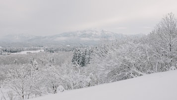 Vista da propriedade