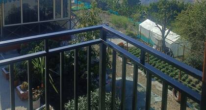 Brijwasi homestay