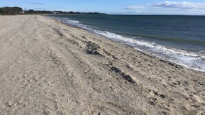 A sandy beach with gentle waves, a clear sky, and distant buildings. - Searenity only 750 m to the beach, pet friendly (St Leonards)