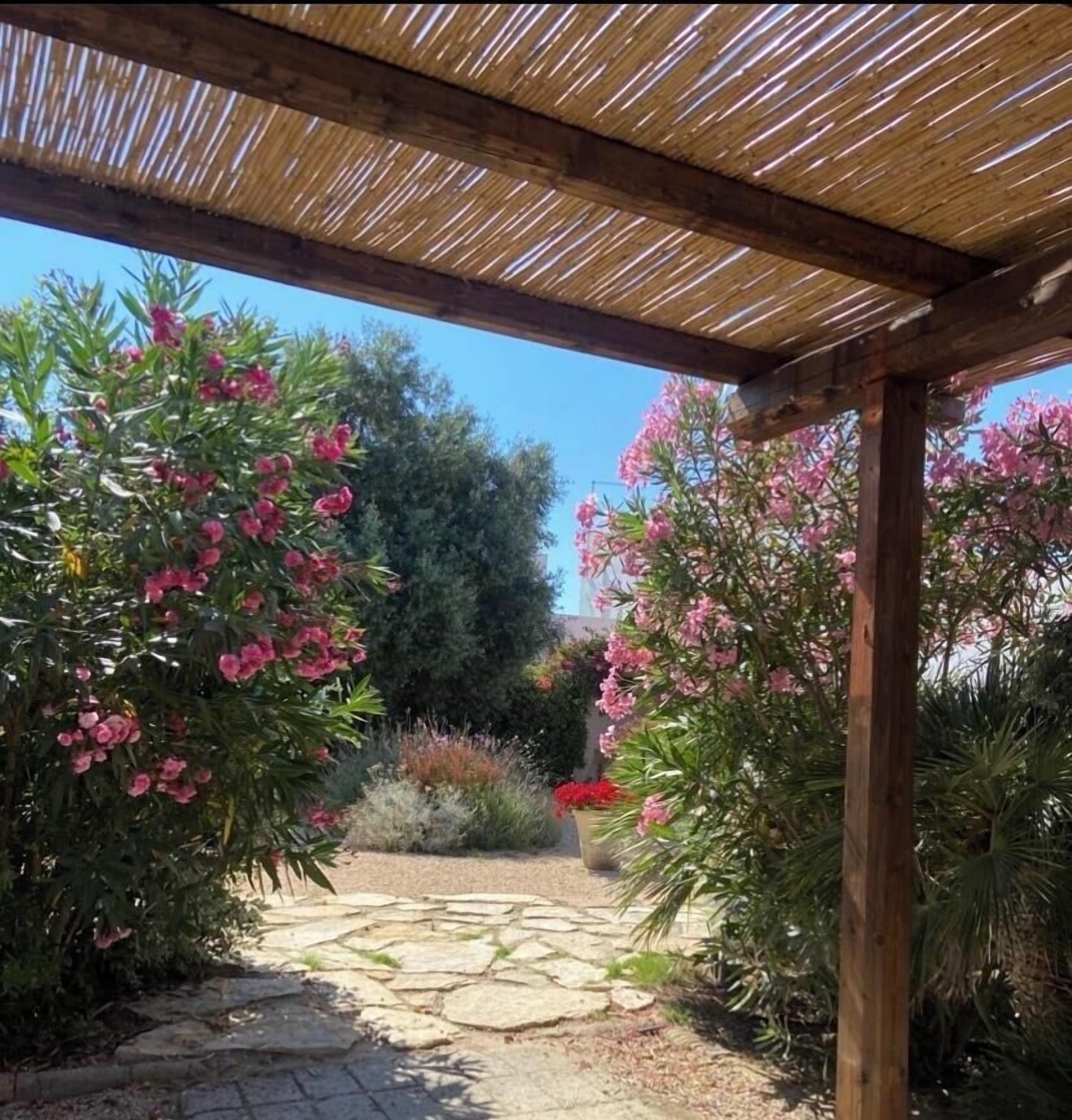 A garden pathway under a wooden pergola with pink flowering plants.