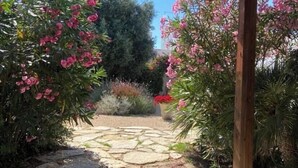 A garden pathway under a wooden pergola with pink flowering plants. - Villa Olga in exclusive setting with private access to Nora beach (Pula)