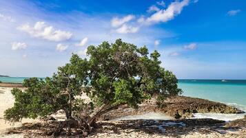 Beach nearby, white sand, 10 beach bars