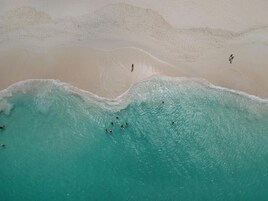 Vista aérea de una playa con aguas turquesas cristalinas y una orilla arenosa.
