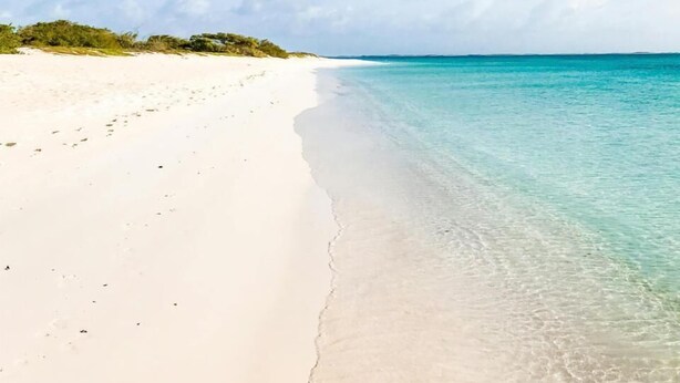A beach with clear turquoise water and white sand. - Eagle Stays Aruba (Oranjestad)
