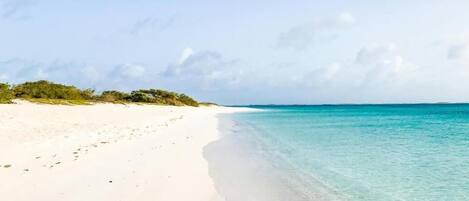 Vlak bij het strand, wit zand, 10 strandbars