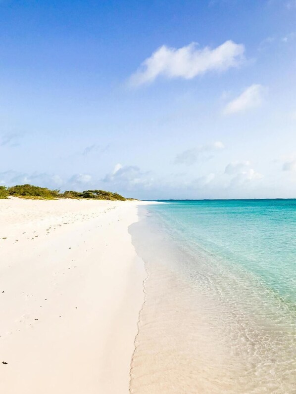 Plage à proximité, sable blanc, 10 bars de plage