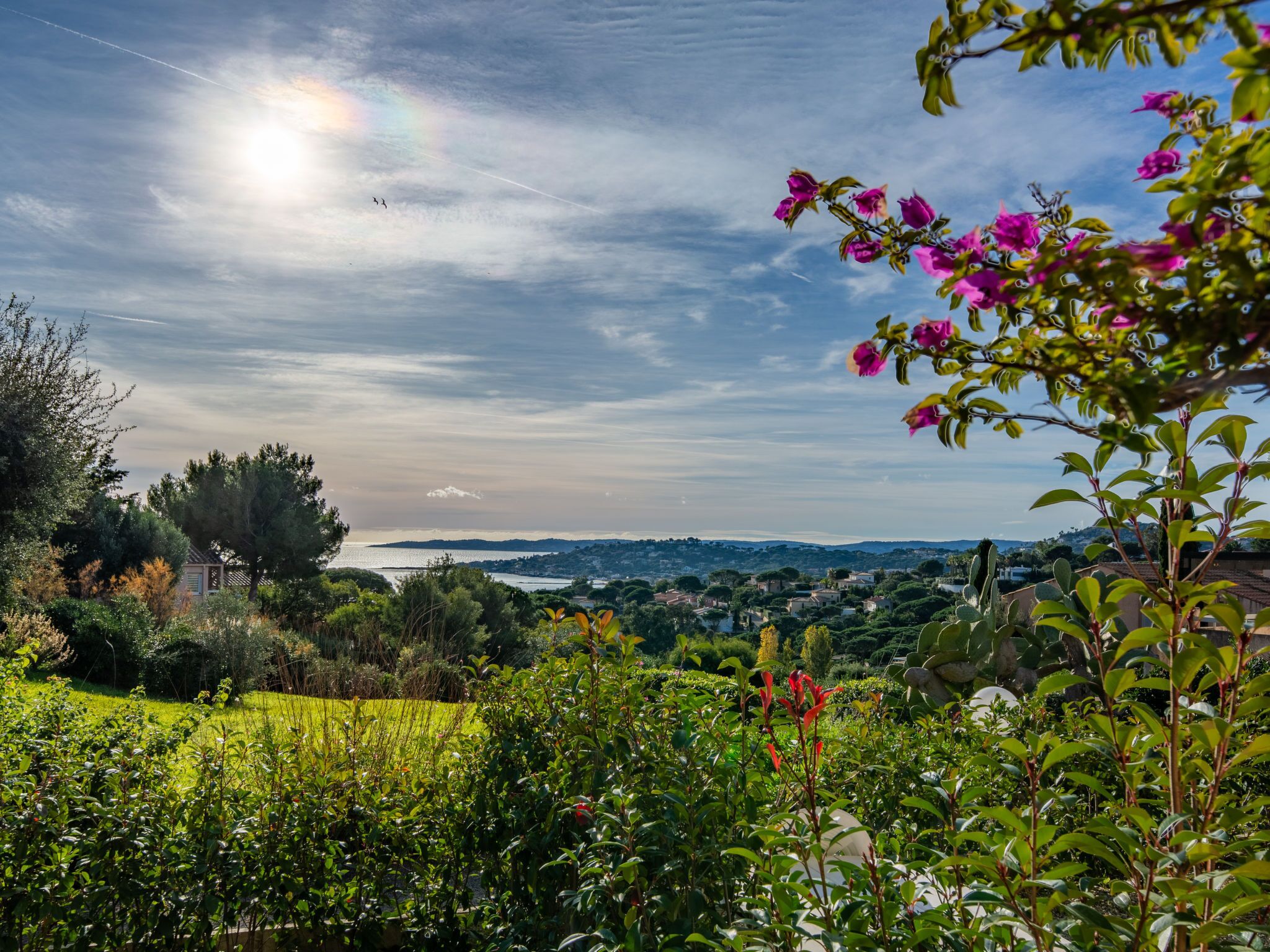 A lush garden with a variety of plants and flowers, a clear sky with a rainbow, and a distant view of a town and coastline.