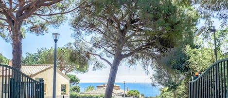 A narrow street lined with trees and a view of the sea.