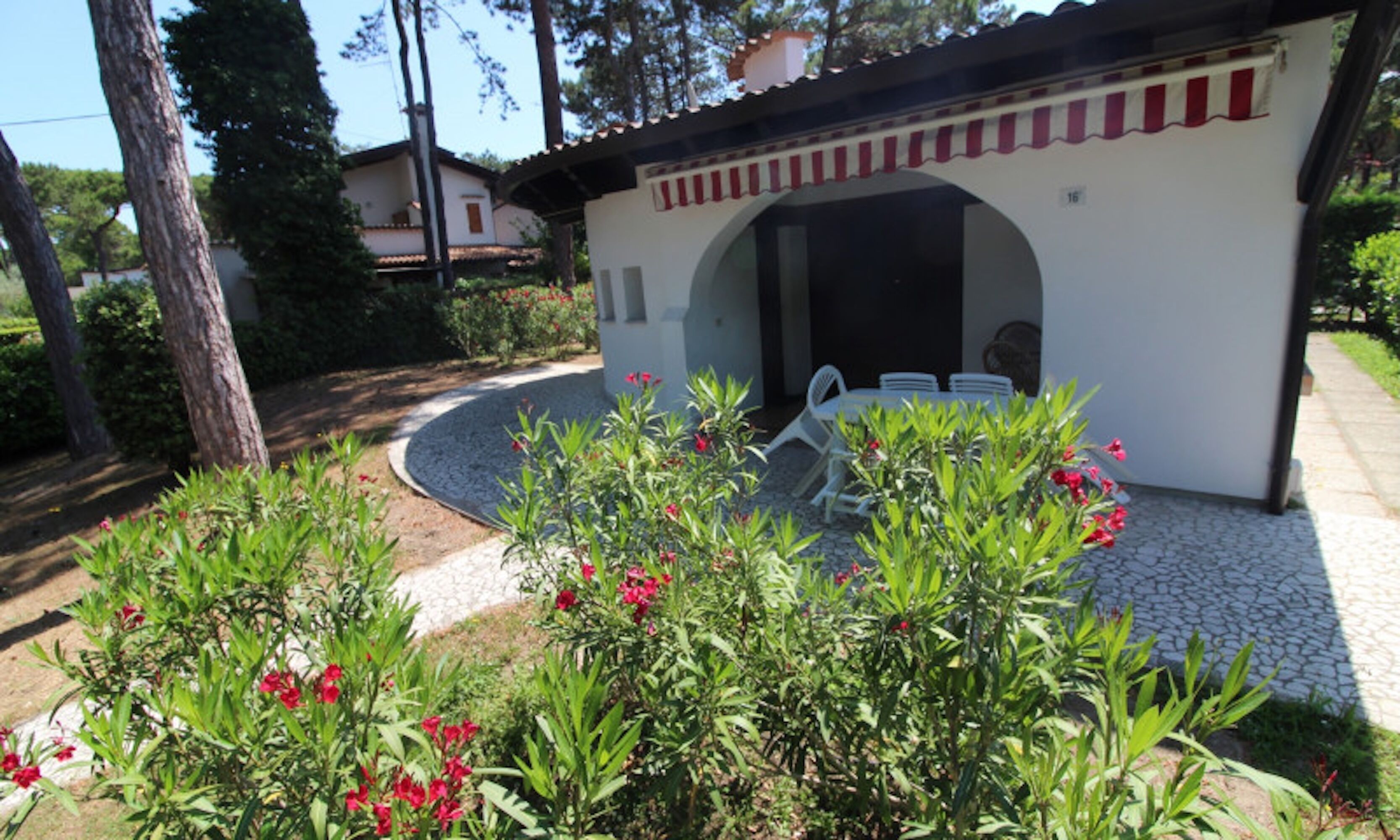 A small outdoor seating area with a white table and chairs, surrounded by a garden with red flowers and green plants.