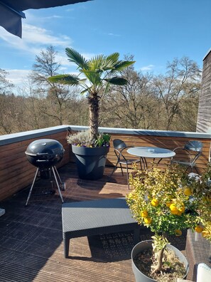 Outdoor dining - Penthouse by the park  (Heilbronn)