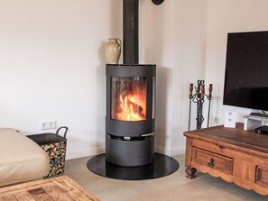 Televisión y chimenea