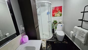 Shower, hair dryer, bidet, towels