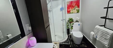 Shower, hair dryer, bidet, towels