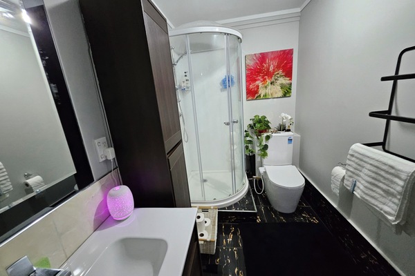 Regadera, secadora de cabello, bidet, toallas