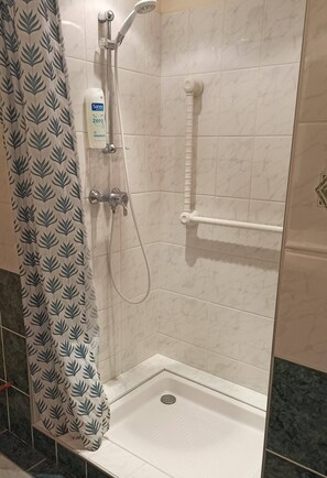 Shower, hair dryer, bidet, towels