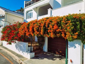 Exterior - Charming Heritage Cottage, sleeps 2 - Opposite Bikini Beach (Cape Town)