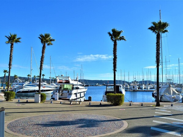 Port esportiu