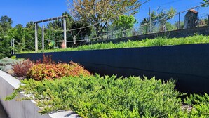 A landscaped area with a retaining wall, various shrubs, and a clear sky. - La Cigarrita Guest House - Douro Valley (Peso da Régua)