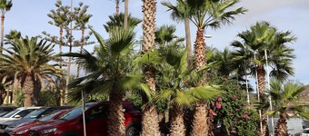 Chayofa Escape Relax and Enjoy