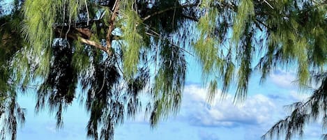 Liegestühle, Strandtücher