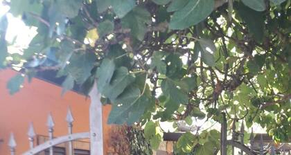 Casa a Ravi: A little Tuscan vacation home dream