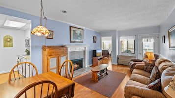 TV, fireplace, books