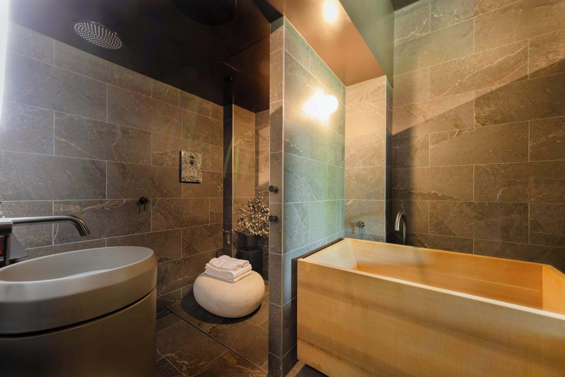 Shower, hair dryer