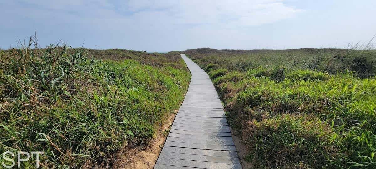 Un paseo marítimo de madera que atraviesa una zona cubierta de hierba, con dunas al fondo.