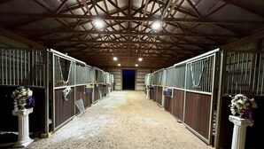 A stable with open stalls, a dirt floor, and a wooden ceiling structure.