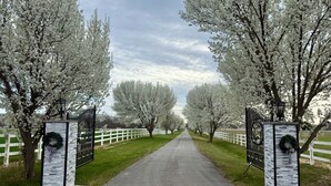 Un camí vora arbres amb flors blanques i una tanca blanca, que porta a una entrada tancada amb un pilaret de pedra i una corona de flors.
