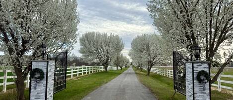 Enceinte de l’hébergement