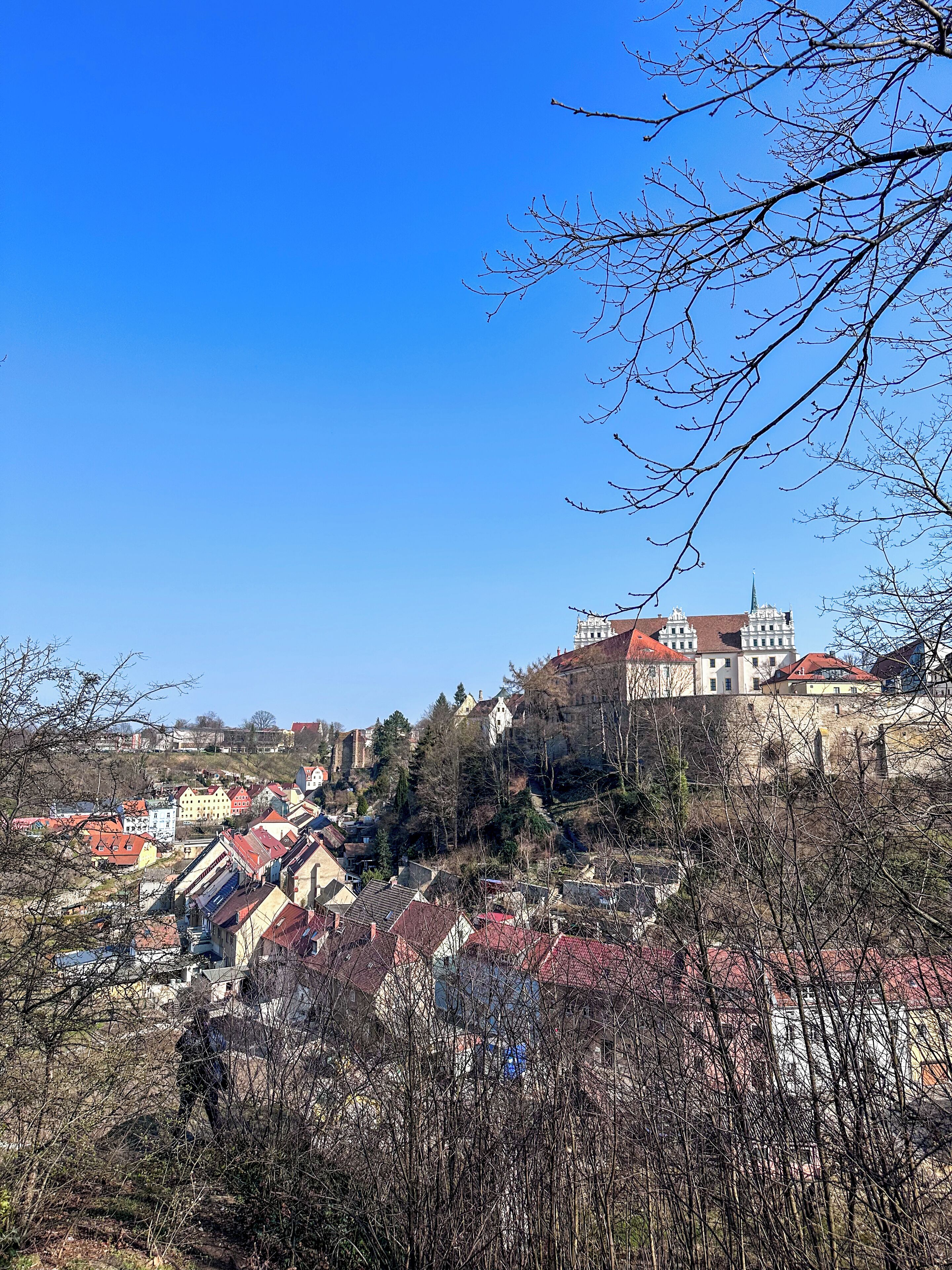 Uma cidade histórica com um edifício imponente, semelhante a um castelo, numa colina, rodeada por edifícios residenciais com telhados vermelhos.