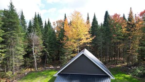 A cabin with a sloped roof, surrounded by a forest with autumn-colored trees. - Adirondack Private & Cozy Cabin, close to ATV trails, Skiing, hiking and golfing (Owls Head)