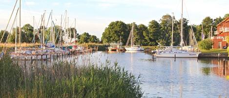 En småbåtshamn med flera segelbåtar förtöjda, omgiven av gräsytor och träd.