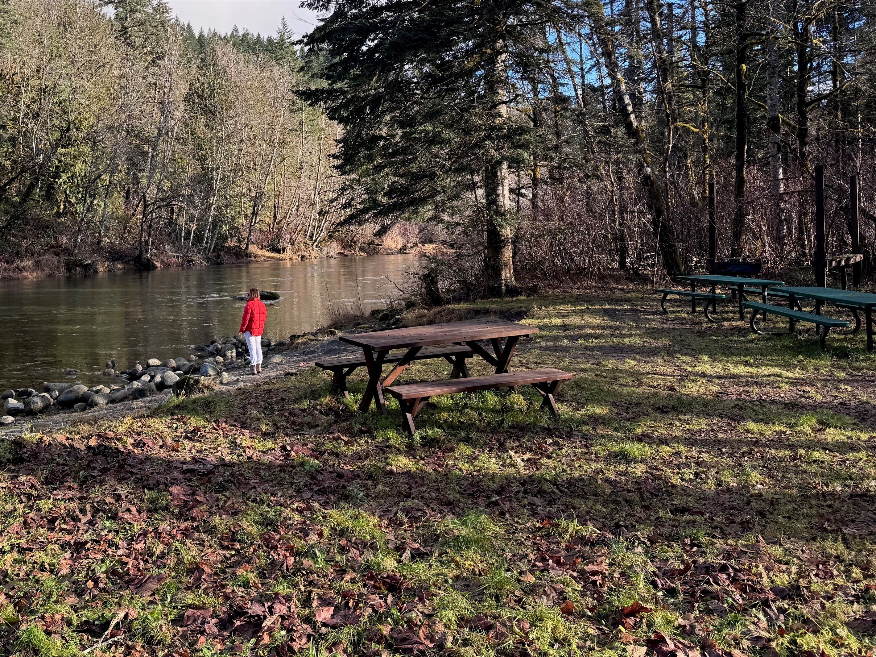 Community river access including a little sandy beach and a couple of picnic tables. Perfect for an outdoor lunch and just a few steps away from the cabin.
