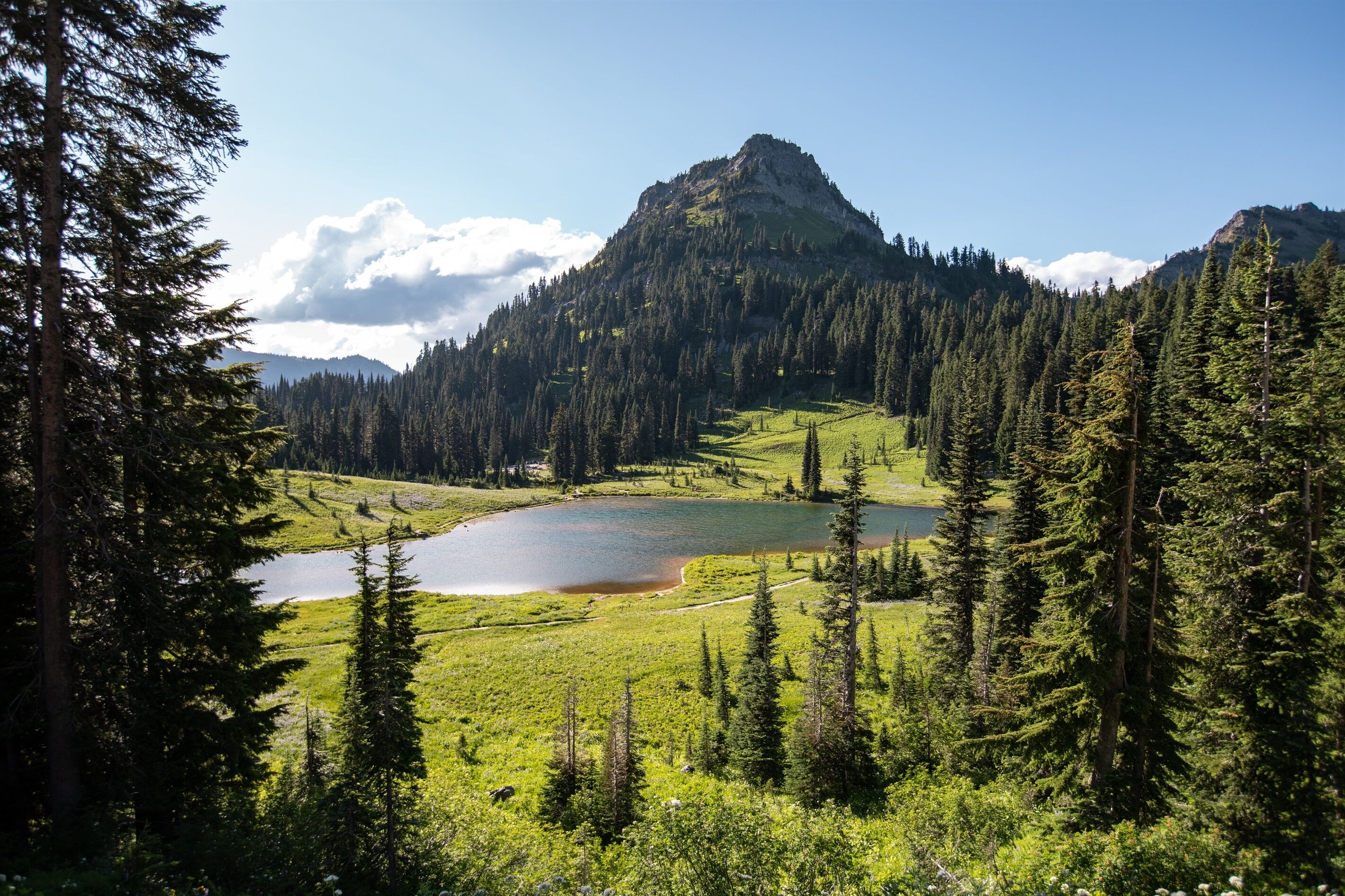Un paisaje montañoso con un lago rodeado de bosque denso y un pico prominente.