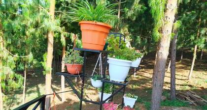 Enchanting 4-bedroom apartment with WiFi in Lushoto Tanga