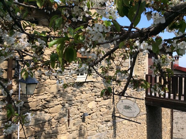 Détail de l’extérieur