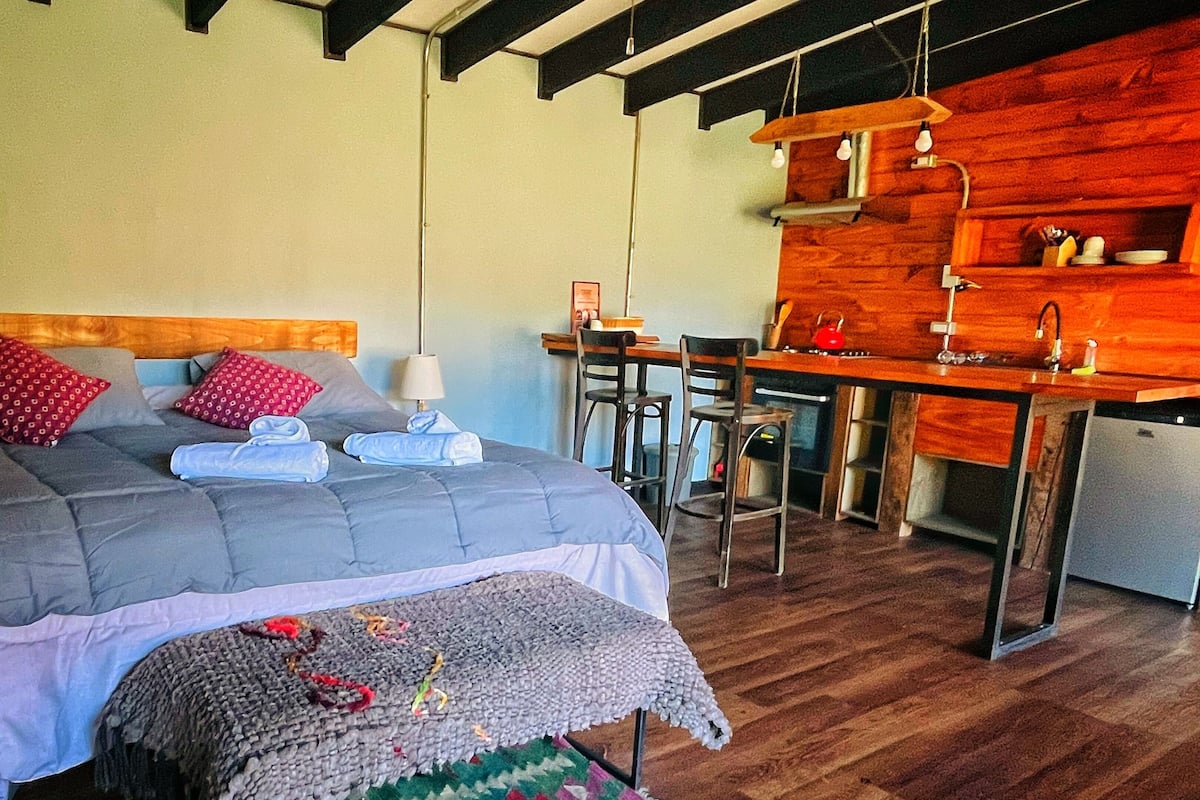 A bedroom with a bed, a desk, and a kitchenette.
